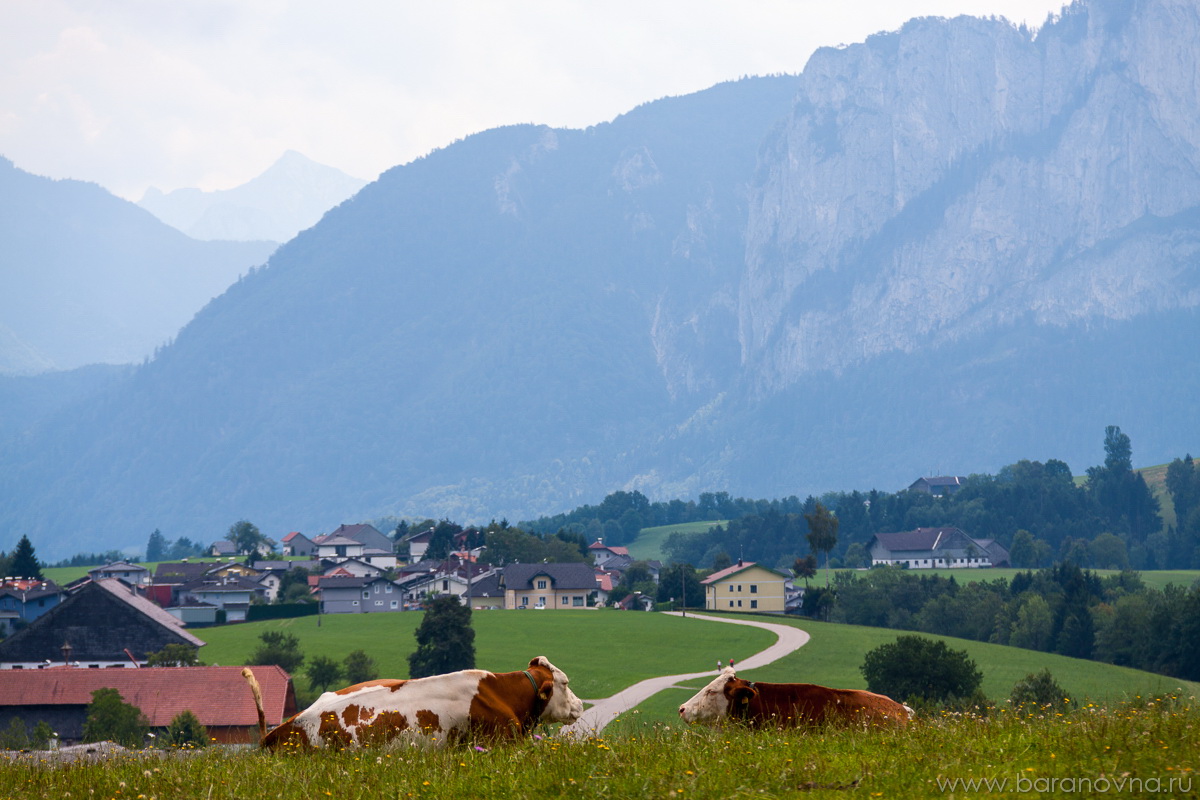Zell am Moos (Irrsee)